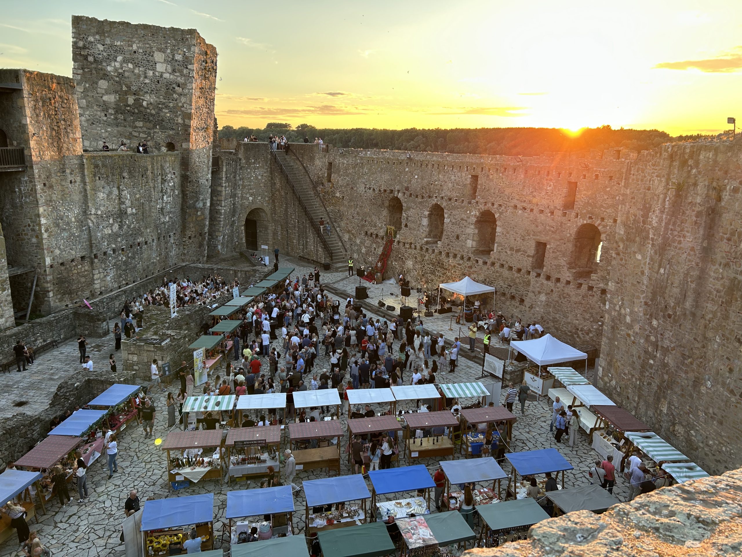 DESPOT WINE FEST